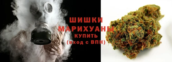 стаф Бугульма