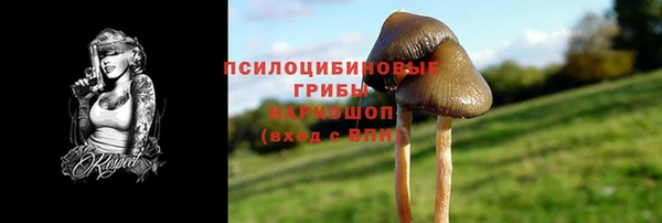 MDMA Бородино