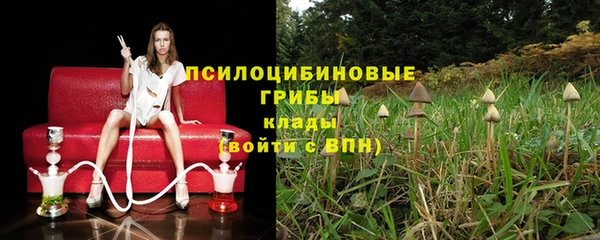 стаф Бугульма