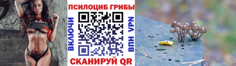 Купить где  Полярный  Псилоцибиновые грибы мухоморы 